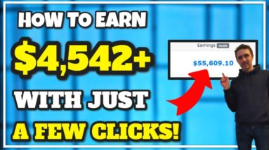 Earn $4542 In Passive Income From a Couple Of Clicks