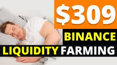 How to Make Money on BINANCE LIQUIDITY FARMING Easily? (2022)