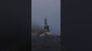 You Have What It Takes