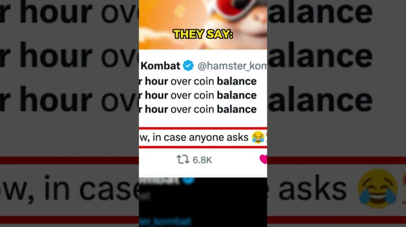 Hamster Kombat: Profit per Hour vs Coin Balance