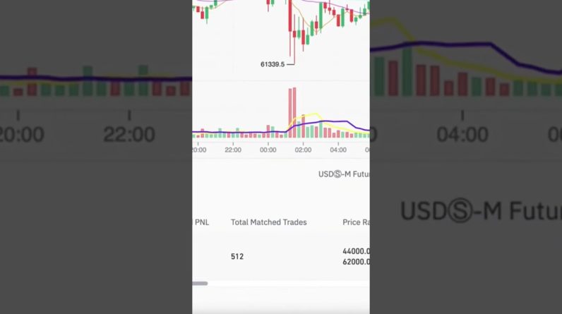 $1,039 Earned using Binance Futures Grid Trading Bot